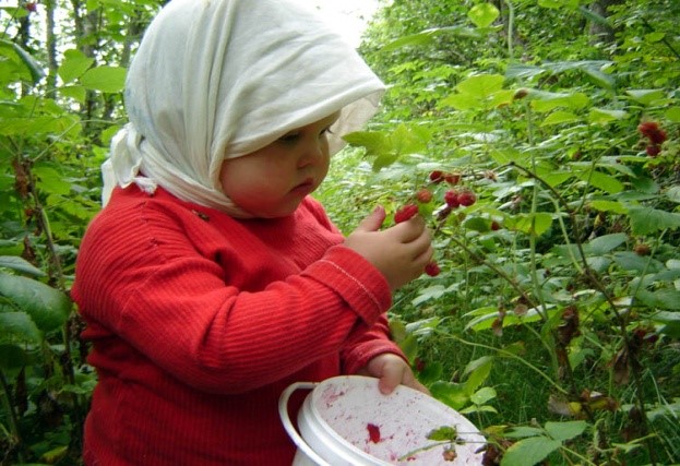 p7.jpg p7.jpg